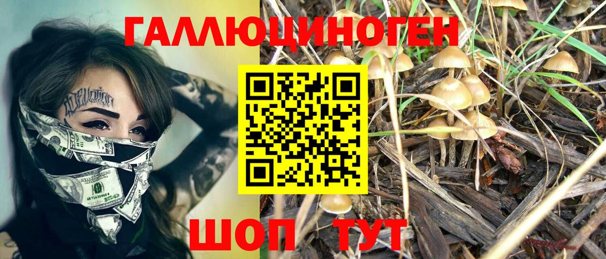 Псилоцибиновые грибы ЛСД  Вход с VPN  Волхов 